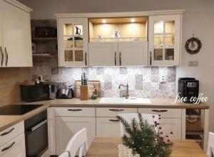 Kuchyň nebo kuchyňský kout v ubytování Slnečný dom