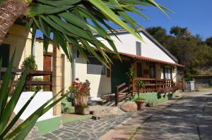 a house with a palm tree in front of it at Eco-bio Agriturismo Santacinnara in Soveria Simeri