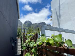 Γενική θέα στο βουνό ή θέα στο βουνό από  αυτό το διαμέρισμα