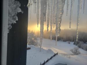Une petite vue sur le Paradis v zimě