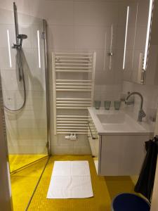 Ένα μπάνιο στο Apartment ANTON Innsbruck +21 φωτογραφίες