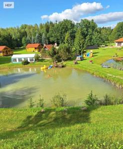 a large pond in a green field with houses at Sodyba pas Martyna 2 in Triušiai