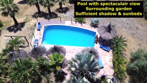 an overhead view of a swimming pool with palm trees at Rural cottage VINCENT van Gogh, with spectacular pool & OPTIONAL private 6 guests jacuzzi in Tolox