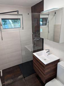 a bathroom with a sink and a shower and a toilet at Haus am See in Königs Wusterhausen