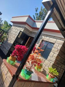 Afbeelding uit fotogalerij van Bedsitter To let in Kisumu