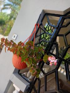 Afbeelding uit fotogalerij van Bedsitter To let in Kisumu +14 foto's