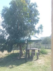 Billede fra billedgalleriet på Aires del Parque 1 i Necochea + 1 billede