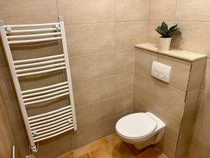 un bagno con servizi igienici e una pianta su una mensola di Ferienwohnung auf dem Gutshof Renz a Weissenfels