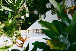 Zahrada ubytování Utopia Varkala - Boutique stay in Odayam rice fields