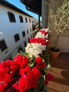 Fotografie z fotogalerie ubytování Hotel Botticelli ve Florencii