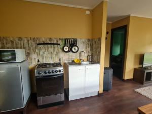 a kitchen with a stove and a counter top at Cabaña Mis Corazones Puerto Octay in Osorno