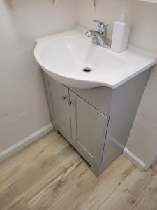 un lavandino bianco in bagno con pavimento in legno di The Link Vintage Motel #8 a Lovelock