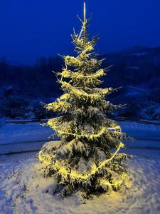 ein mit Schnee bedeckter Weihnachtsbaum mit Lichtern in der Unterkunft Il Cottage in Castel di Sangro