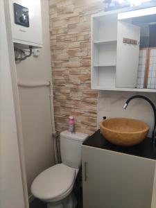 een badkamer met toilet en wastafel bij studio idéal visite de Paris in Ivry-sur-Seine