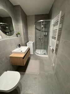 a bathroom with a shower and a toilet and a sink at Karolinska Apartment City Center in Ostrava