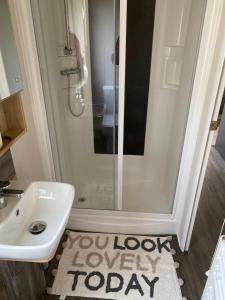 Vannituba majutusasutuses 3 bed Caravan - Sleeps 8 - Pets - Parking +3 fotot