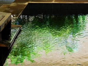 Fotografie z fotogalerie ubytování Mitsui Garden Hotel Kashiwa-No-Ha - Chiba v destinaci Kašiwa