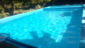 Swimmingpoolen hos eller tæt på Los Nogales + 9 billeder