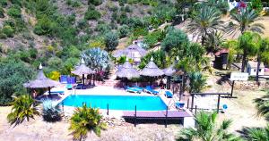 A garden outside Castle Tower apartment in rural holiday park 'Picasso'