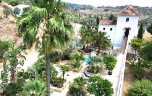 A garden outside Castle Tower apartment in rural holiday park 'Picasso'