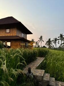 a path leading to a house in a field at Tengah Uma Villa Sangketan in Tabanan