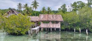 Paysage naturel près de la maison d'hôtes