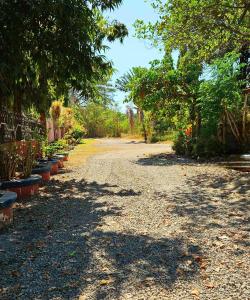 a dirt road with trees and plants on it at The Cozy Glass House by the Sea in Bauang