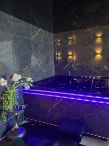 MelleceyLa Ronde des Bois - Romance et Bien Être - Jacuzzi privatif-piscine-patio的一间带紫色照明浴缸的浴室