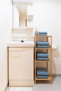 une salle de bain avec un lavabo et un miroir dans l'établissement Zen apartment in central Tokyo, à Tokyo