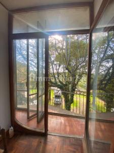 una porta a vetri aperta con vista su un albero di KIT amorovieto a Castel Viscardo