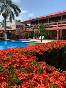 Fotografie z fotogalerie ubytování Hotel La Roca del Mar v destinaci Puntarenas