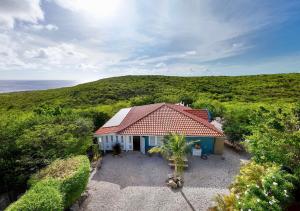une maison avec un palmier en face de l'océan dans l'établissement Coral Estate Rentals, à Willibrordus