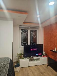 A television and/or entertainment centre at Apartman Zlatar-Vasiljevic