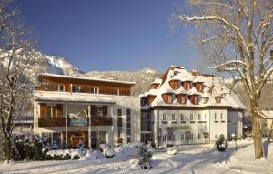 Wohlfühlhotel Goiserer Mühle v zime