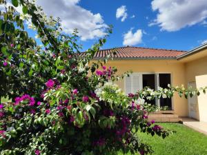 a house with pink flowers in the yard at Morada da Esperança in Vespasiano Corrêa