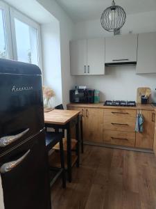 Kuchyň nebo kuchyňský kout v ubytování Apartament z Napoleonem w tle