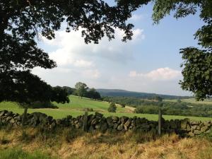 a stone fence in a field with trees at The White Hart Apartment Valley View in Alton