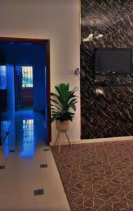 une chambre avec une plante en pot et un mur bleu dans l'établissement هتان السودة hattan alsodah, à Sawdāʼ