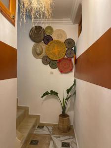 Fotografie z fotogalerie ubytování Aftass Hostel v destinaci Agadir