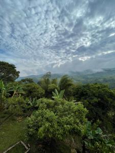 a view of a jungle with trees and clouds at Alojamiento campestre Barbosa Santander in Barbosa