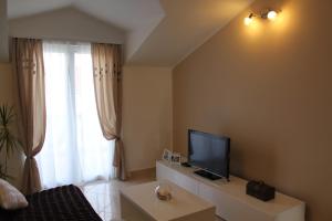 TV a/nebo společenská místnost v ubytování Apartment Frzop