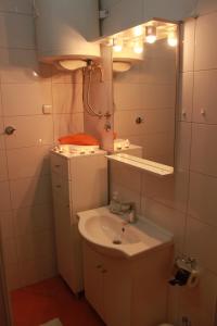 Koupelna v ubytování Apartment Frzop + 24 fotografií