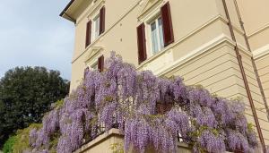 A garden outside Il Pettirosso