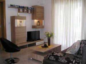 Televízia a/alebo spoločenská miestnosť v ubytovaní Apartments Tih