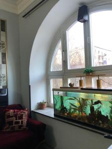 Fotografie z fotogalerie ubytování Guest House Dompolski v destinaci Gjumri