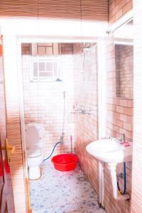 a bathroom with a toilet and a sink at Blue Moon Apartment in Gisenyi