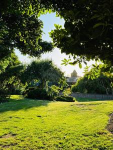 Zahrada ubytování Villa Rivarola