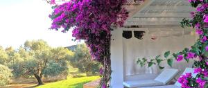 Fotografia z galérie ubytovania Olivemare v destinácii Katelios