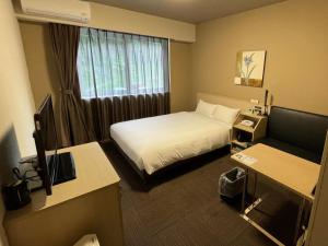 TV a/nebo společenská místnost v ubytování Hotel Route-Inn Miyako