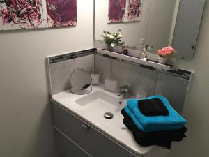 ein Bad mit einem Waschbecken und einem Spiegel in der Unterkunft Appartement T1 Hyper Centre avec Balcon in Bordeaux